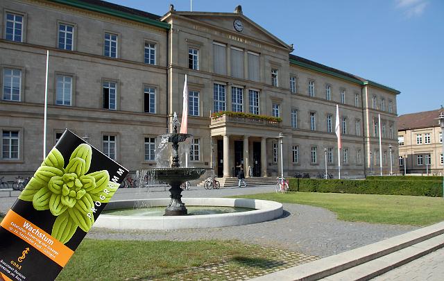 Tuebingen0002.jpg