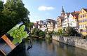Tuebingen0001